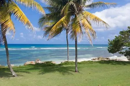 Hospitality Expert Mr X Suite - Tour Pool Bar Beach Montego Bay 0*,  Jamaika