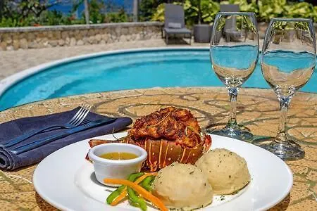Gasthof Hospitality Expert Mr X Suite - Tour Pool Bar Beach Montego Bay